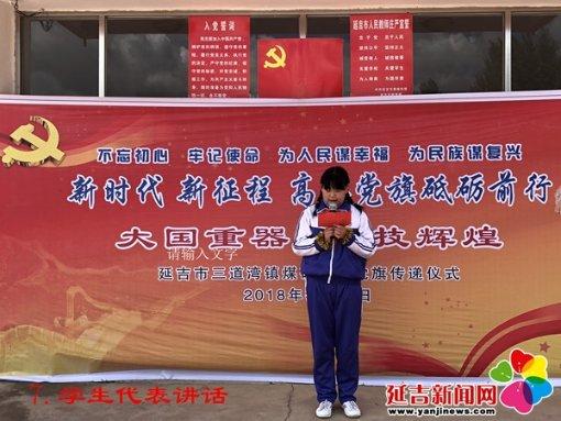 救援狗与猫