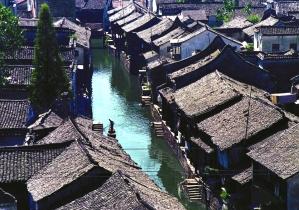 宜宾翠屏：茶园冬季管护忙 茶企新发展激发产业新动能